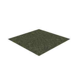 Grass